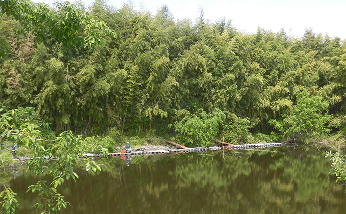 今週のヘラブナ推薦釣り場2025【埼玉・明秋ひょうたん】