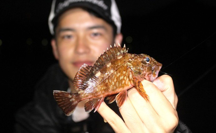 「超小型魚のアタリも取れる！」最新メバリングロッド『25フィネッツァ』で春メバルを攻略