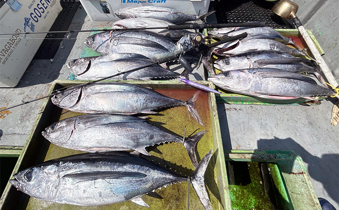 志摩沖トンジギ釣行で2時間でビンナガ11本と爆釣【三重】サイズは10kg前後が中心