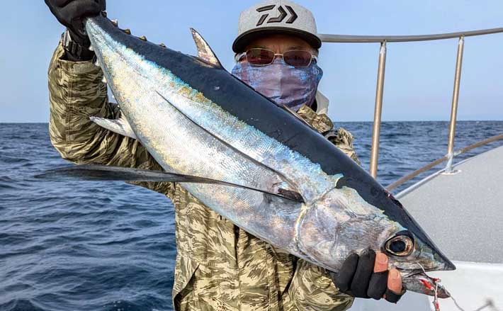 深海ジギング　トンジギ　500グラム　　4本 深海ジギング トンジギ 500グラム 4本 深海ジギング トンジギ 500