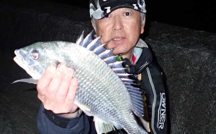 夜の波止で電気ウキ釣りを満喫【熊本・上天草】メバルやアラカブを好捕