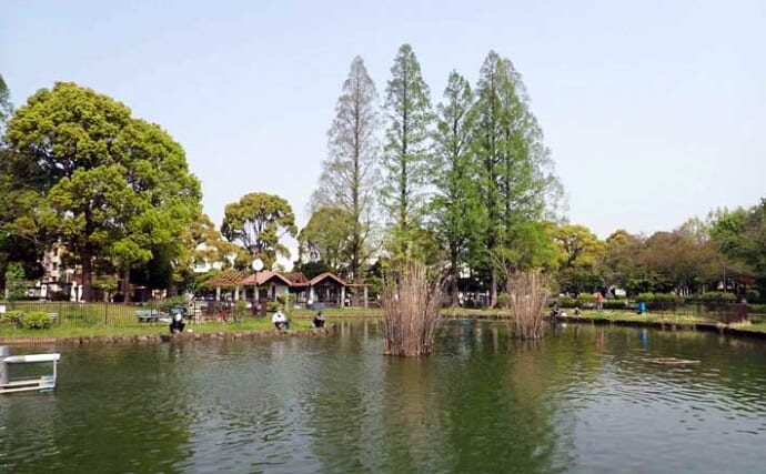 「都内で気軽に小物釣り！」ヘラブナやタナゴ釣りが楽しめる元渕江公園を紹介【東京】
