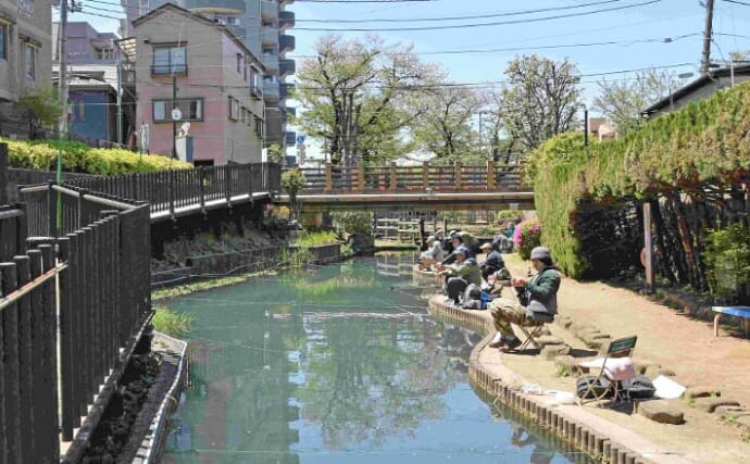 「駅チカ＆無料で楽しめる！」淡水小物釣りおすすめ釣り場『氷川つり堀公園』を紹介【東京】