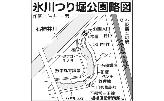 「駅チカ＆無料で楽しめる！」淡水小物釣りおすすめ釣り場『氷川つり堀公園』を紹介【東京】