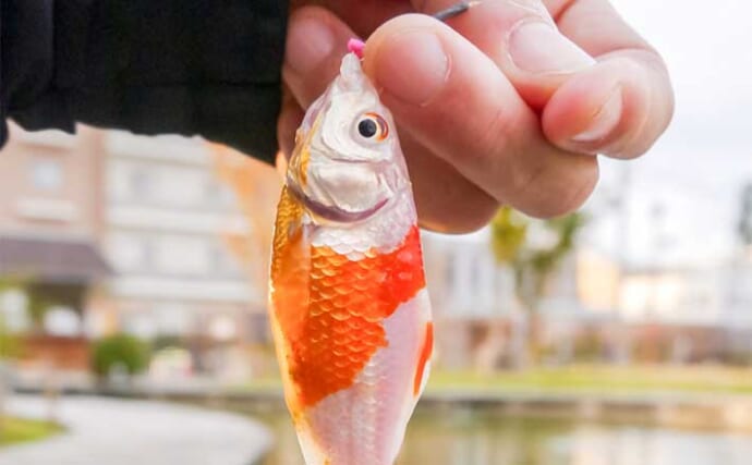 「手ぶらでOK！」初心者もキンギョ釣りが楽しめる浮間釣り堀公園を紹介【東京】
