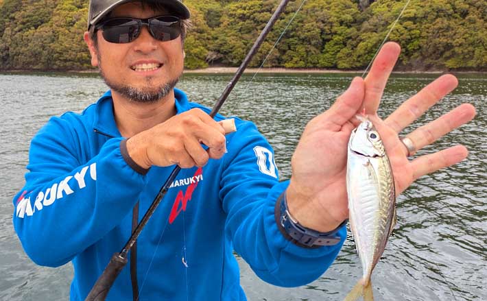 イカダのサビキ釣りでアジ爆釣【三重・迫間浦】アオリイカはヤエン