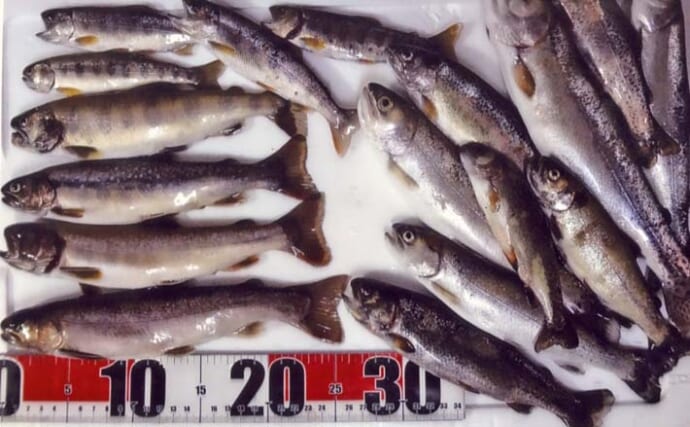 小菅川の渓流エサ釣りで28cm頭にイワナ・ヤマメ・ニジマス合わせて15尾手中【山梨】