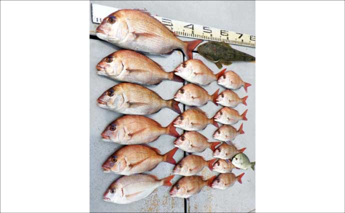 【沖釣り釣果速報】御前崎沖の五目便でシマアジ・カンパチなど多彩な魚種がヒット中（愛知・静岡）