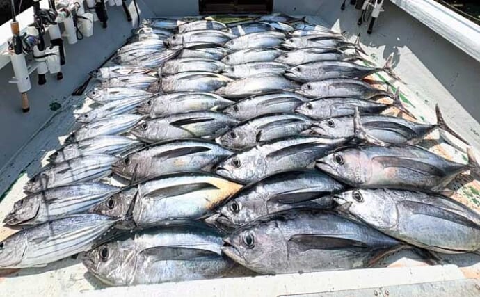 【船のルアー釣果速報】ジギングで船中ビンナガ28匹＆カツオ24匹と絶好調（三重）