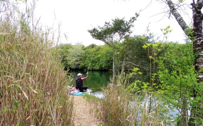 今週のヘラブナ推薦釣り場2025【静岡・田貫湖】
