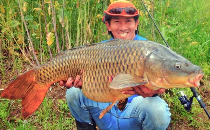 新河岸川のパンコイ釣りで「81cm・9kg超え」大型コイを好捕【埼玉】水位変化に合わせた攻めが的中