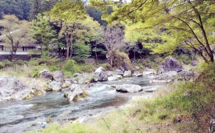 「大アユが期待できる！」2025年鮎（アユ）釣りオススメ河川：奥多摩川