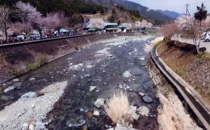 【入川しやすく駐車場も充実】2025年鮎（アユ）釣りおすすめ河川：道志川