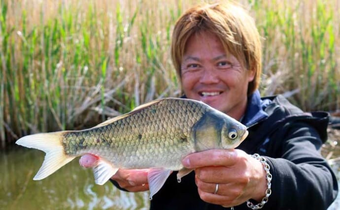 吉田康雄のザ・チャレンジへらぶな【超浅場で晩春ベラを狙う：第3回】