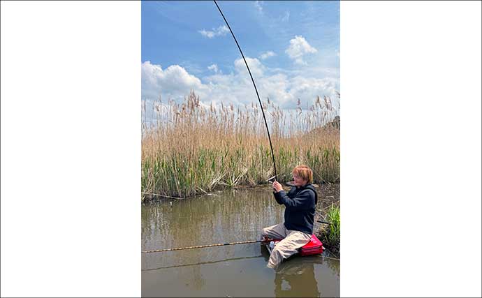 吉田康雄のザ・チャレンジへらぶな【超浅場で晩春ベラを狙う：第3回】