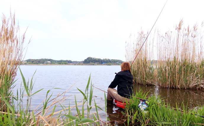 吉田康雄のザ・チャレンジへらぶな【超浅場で晩春ベラを狙う：第3回】