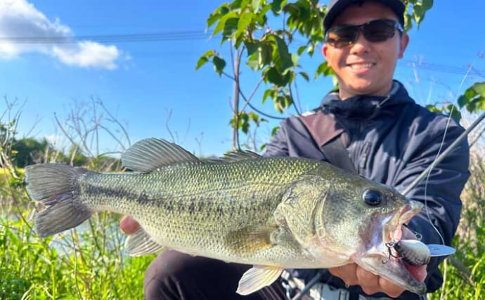 『柳川クリーク』でブラックバス連打【福岡】クランクベイトでの日陰狙い撃ちが的中