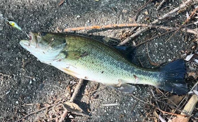「第一印象はまさかの臭っ！」苦節20年で人生初のブラックバスが釣れた【豊田市水源公園】
