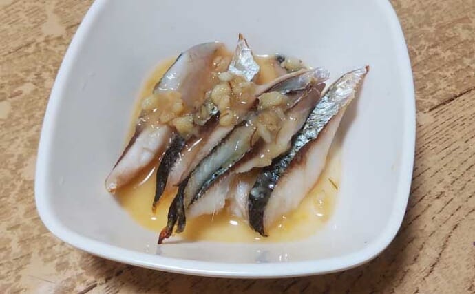 「みそがミソ！？」釣魚で作る【朝ごはん】レシピ：コノシロの甘みそ