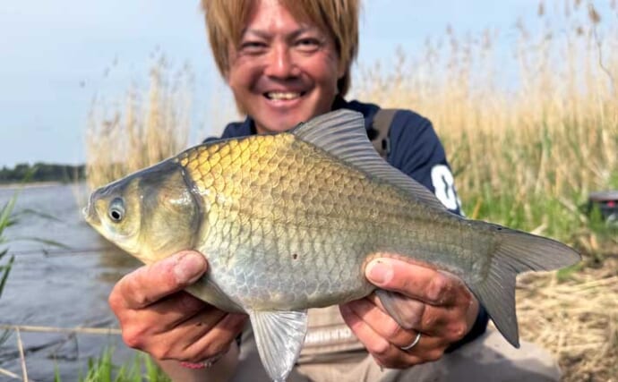 吉田康雄のザ・チャレンジへらぶな【超浅場で晩春ベラを狙う：第4回】