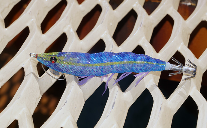 「食い渋りを打破！」DUELの定番エギ『EQ』と遠投型『マグパタ』で春アオリを攻略【長崎】