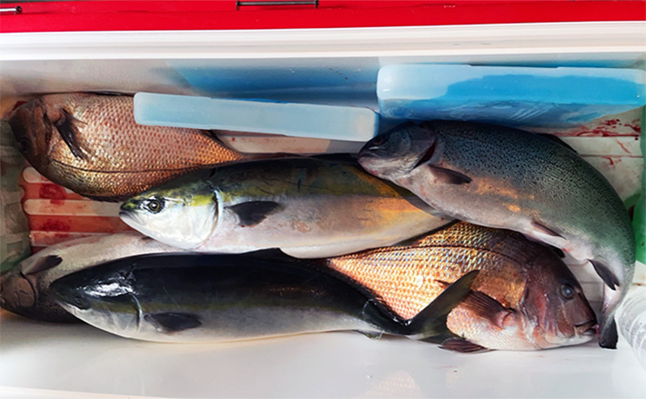 外れ釣り座でも釣れる！」マル秘仕掛けで海上釣り堀のマダイ・ハマチ