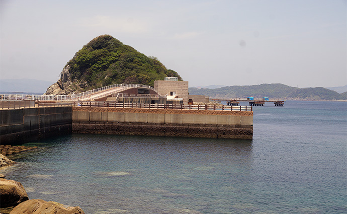 「食い渋りを打破！」DUELの定番エギ『EQ』と遠投型『マグパタ』で春アオリを攻略【長崎】