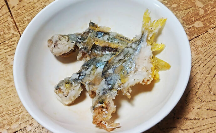 釣った「ゲスト魚」レシピ：ヒイラギの素揚げ　少量の片栗粉をまぶすのと味の乗りが向上