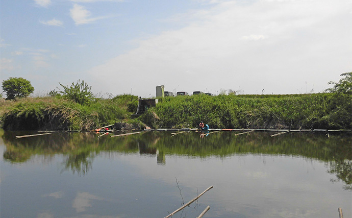 今週のヘラブナ推薦釣り場2025【埼玉・明秋ひょうたん】