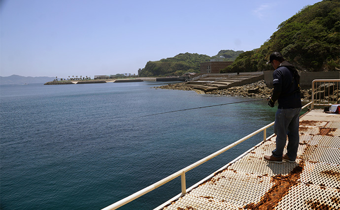 「食い渋りを打破！」DUELの定番エギ『EQ』と遠投型『マグパタ』で春アオリを攻略【長崎】