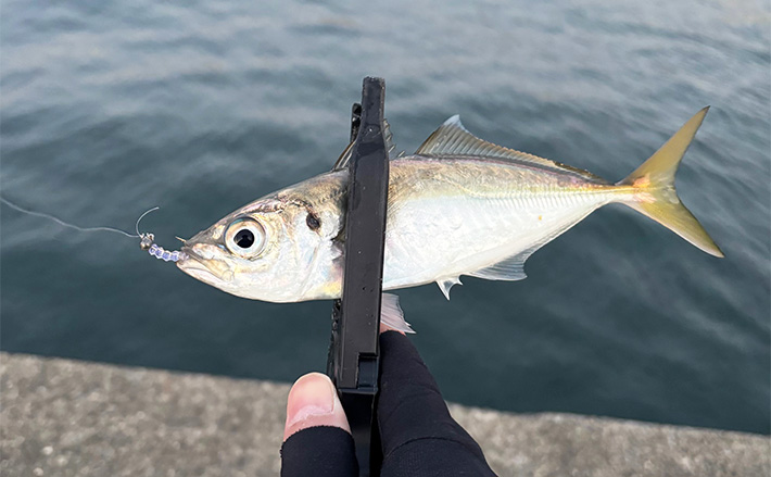 釣りで生の実感を得る」陸っぱりルアー釣りアングラーが考える【釣りを