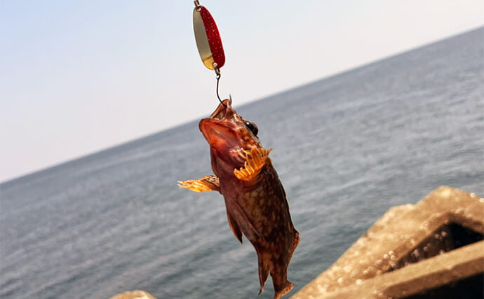 「ボラに支配された海でカサゴを釣る」 ダイソースプーンでの穴釣りでヒット【三重・津】