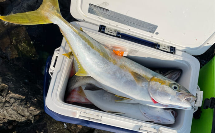 「北九州ってどんな釣りフィールド？」現地在住のルアーアングラーが抱く率直な感想を紹介