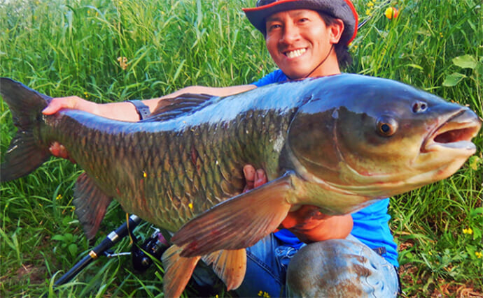 元荒川でメーター超えソウギョ獲った！【埼玉】夕マヅメのパンエサ釣りでキャッチ