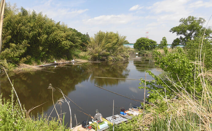 今週のヘラブナ推薦釣り場2025【埼玉・明秋ひょうたん】