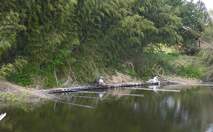 今週のヘラブナ推薦釣り場2025【埼玉・明秋ひょうたん】