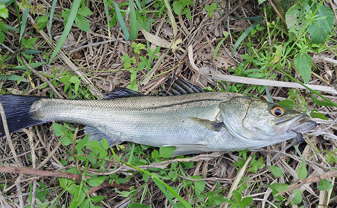 GW明けの『釣りロス』対処法3選　釣り以外の遊びをしてみると効果的？