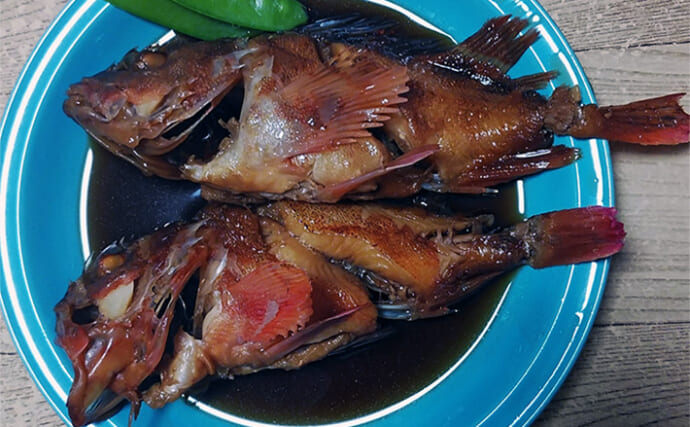 釣魚で作る「定番」レシピ：カサゴの黒糖煮　まったりとした深い味わいに