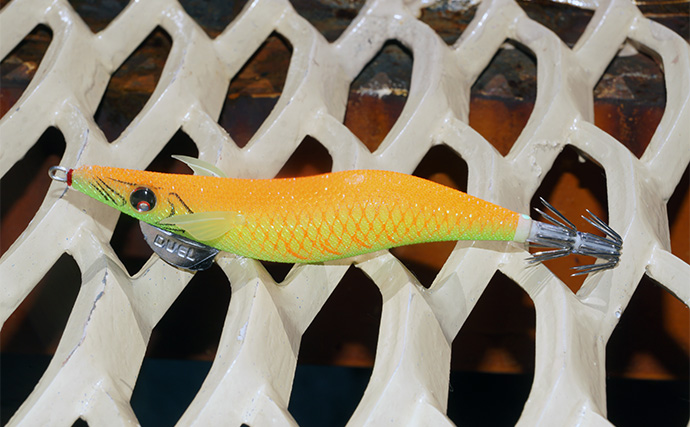 「食い渋りを打破！」DUELの定番エギ『EQ』と遠投型『マグパタ』で春アオリを攻略【長崎】