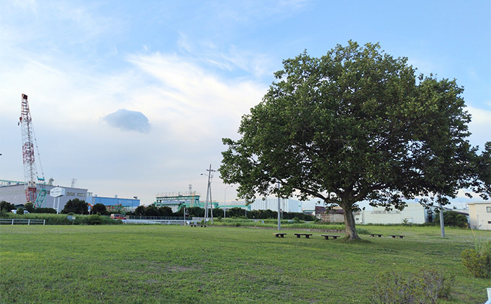 GW明けの『釣りロス』対処法3選　釣り以外の遊びをしてみると効果的？