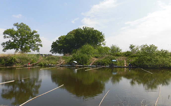 今週のヘラブナ推薦釣り場2025【埼玉・明秋ひょうたん】