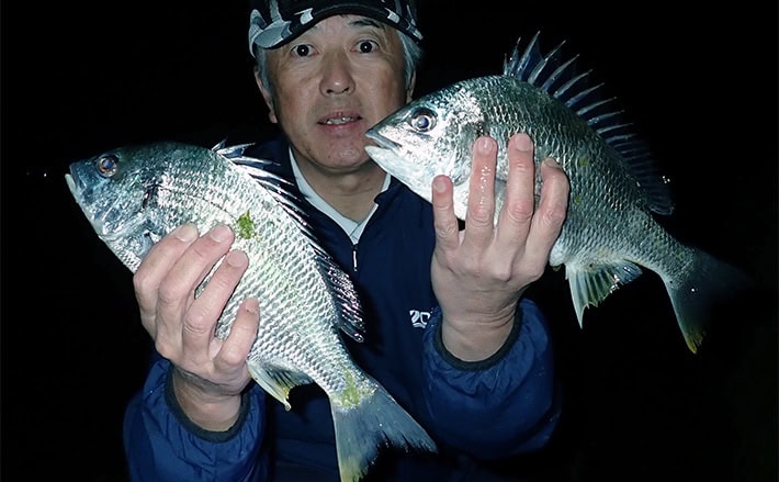 夜の漁港でのフカセ釣りで40cm級頭にチヌ連打【熊本・上天草】浅場で