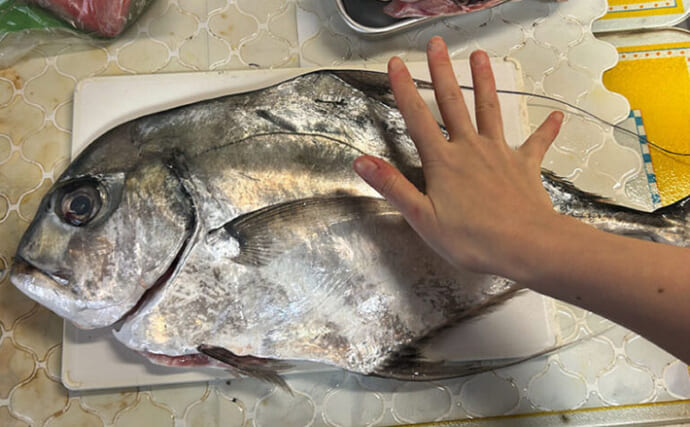 「美味しい＆面白い！」見たことない珍しい魚が家に届く【未利用魚ボックス】を注文してみた