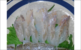 刺身で美味しい「グチ」ってどんな魚？ 釣られると「ブウブウ」愚痴を言う | TSURINEWS