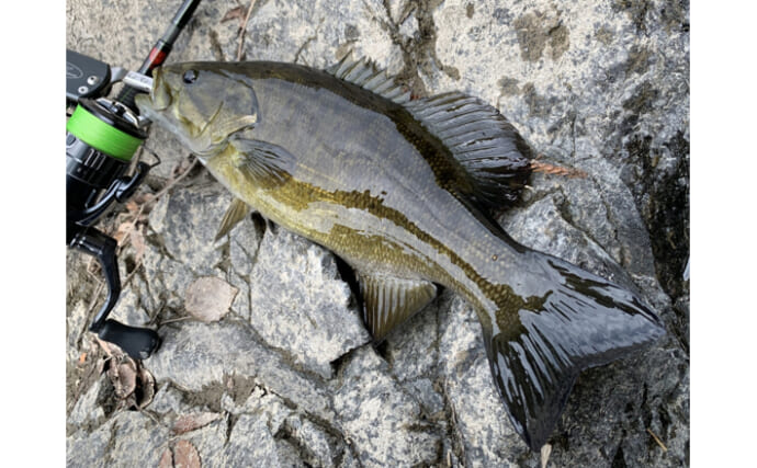 特定外来生物「コクチバス」を釣って駆除する大会が開催される　清流に住むバスは美味！