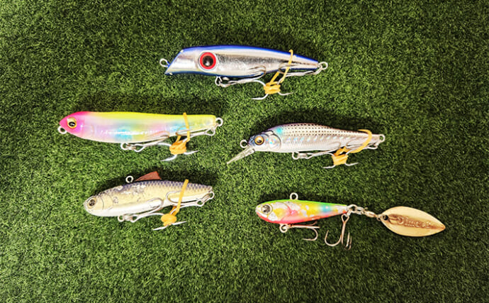 「初夏のシーバスは小規模河川で釣るべし！」ハクパターンのリバーシーバス攻略法