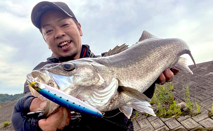 さくななスプートニックソフト　38 ネイビー Pyrenex（ピレネックス） ダウン スプートニック ソフト HWU062