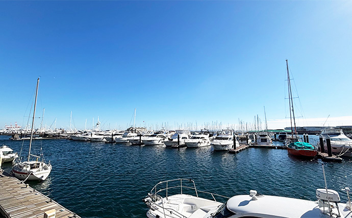 「操船初心者も安心！」最新の運転支援システム搭載のレンタルボートでワラサ手中【静岡・沼津】