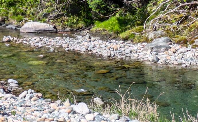 「濃密放流で魚影バツグン！」2025年鮎（アユ）釣りおすすめ河川：櫛田川上流