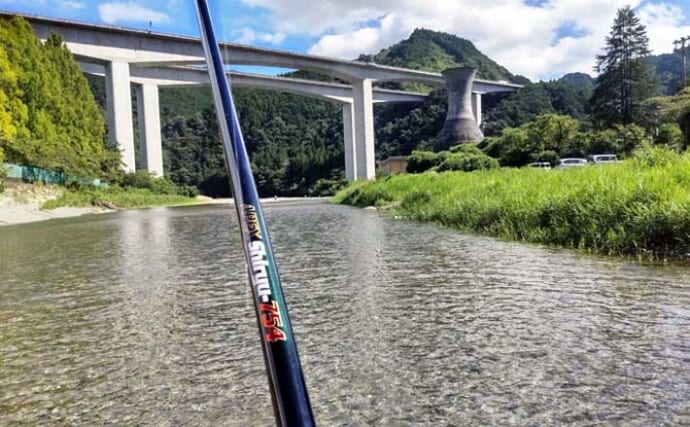 「初心者にやさしい浅場ポイント充実」2025年鮎（アユ）釣りおすすめ河川：興津川